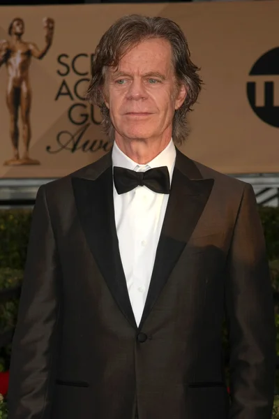 Herec William H Macy — Stock fotografie