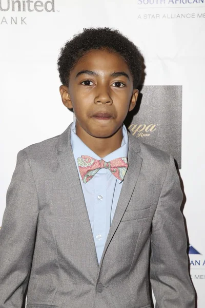 Agente Miles Brown — Foto de Stock