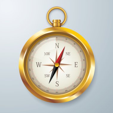 Pusula vektör. Altın Pusula vektör. 