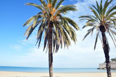 İspanya kıyısında huzurlu beach
