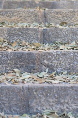 Merdivenlerden üzerinde bırakır