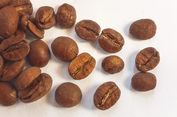 Coffee beans isolated on light background. Top of view. — Stock Photo, Image