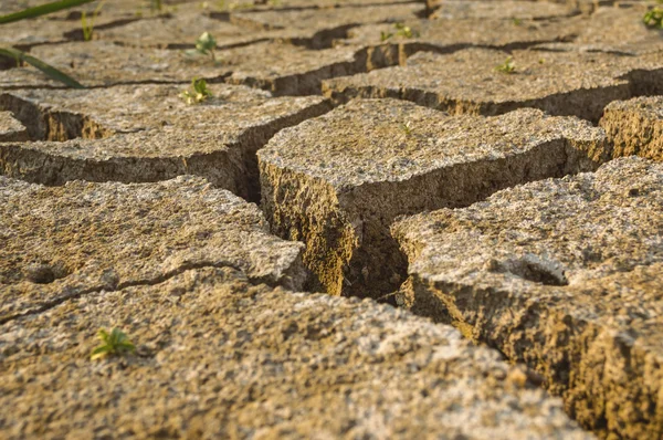 乾燥した土地テクスチャ — ストック写真