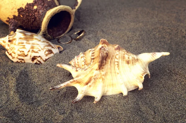 Seashells and amphora with golden rings in the sand on the beach — Stock Photo, Image