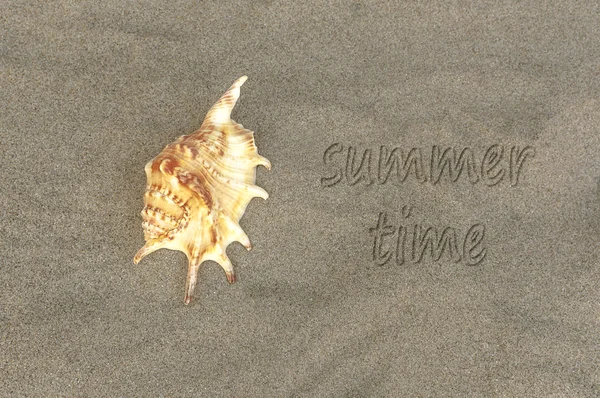 Geschreven woord "zomertijd" op zand van het strand met sea shell. — Stockfoto