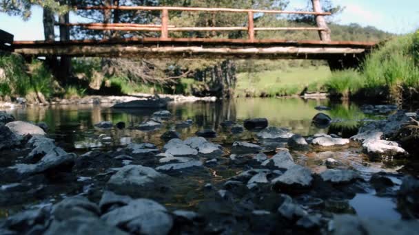 Чиста Вода Гірському Потоці — стокове відео