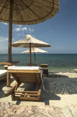 sandalye ve şemsiye plajda.