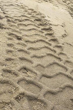 kuma baskılı lastik tekerlek izleri