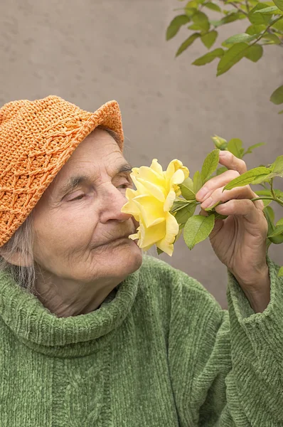 Elderly woman smelling yellow rose flower — Stock Photo, Image