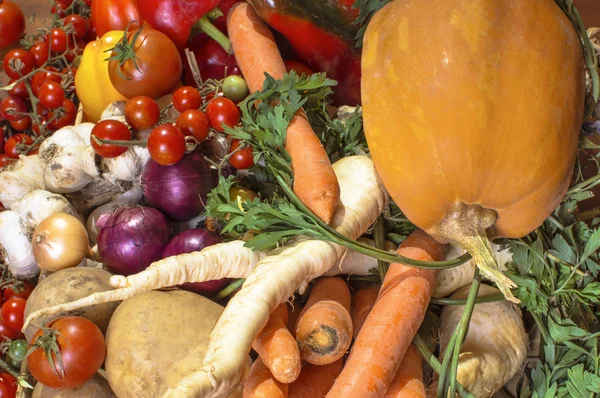 Variedade de produtos hortícolas frescos. — Fotografia de Stock