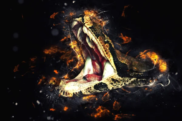 Königliche Boa, öffnet den Mund. Feuerillustration — Stockbild Königsboa — Stockfoto