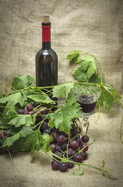 Süße rote Trauben mit einer Flasche Rotwein. — Stockfoto