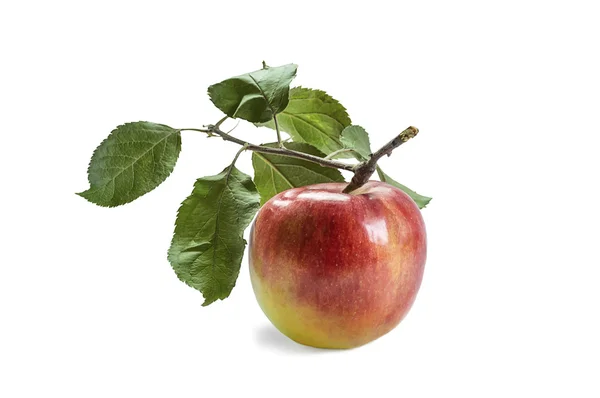 Reifer Apfel mit Blatt. — Stockfoto