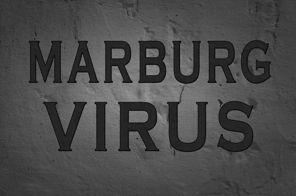 Word Marburg-vírus — Stock Fotó