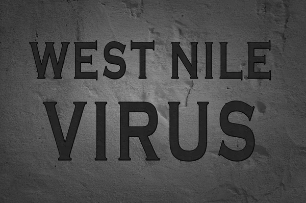 Szó nyugat-nílusi vírus — Stock Fotó