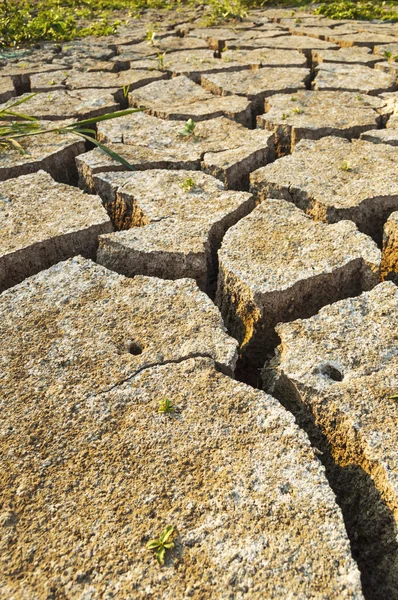 地面に乾いた土の質感. — ストック写真