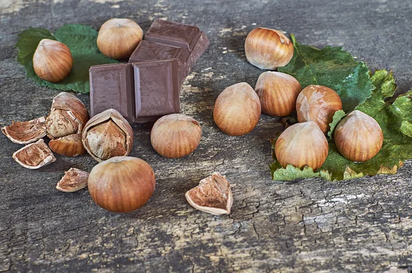 Frische braune Haselnuss auf Holztisch mit Schokolade. — Stockfoto