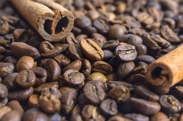 Primer plano de palitos de canela frágiles en granos de café . —  Fotos de Stock