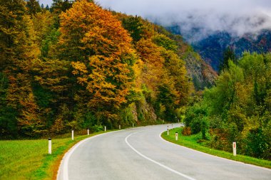 Dağlarda yol, Slovenya, Bled, Bohinj. Renkli sonbahar ormanları ve tepelerin manzara görünümü.