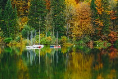 Renkli ormanıyla çevrili Bohinj Gölü gemilerde sonbahar doğal görünümünü. Slovenya, Avrupa, Triglav Ulusal Parkı