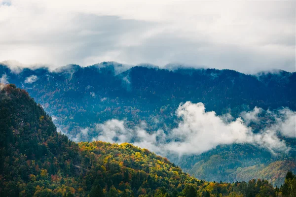 Úžasný pohled na slovinské lesy nedaleko vykrvených, Slovinska. — Stock fotografie