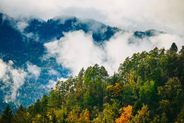 Increíble vista de los bosques eslovenos cerca de Bled, Eslovenia . — Foto de Stock