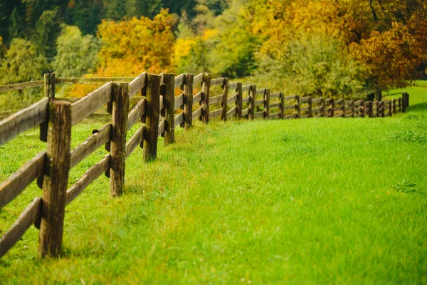 Beautiful green grass meadow with wooden fence in the Alps. Colorful scenic background. — Stock Photo, Image