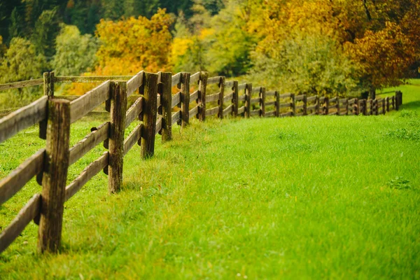 Vacker grön gräs äng med trästaket i Alperna. Färgglad scenisk bakgrund. — Stockfoto