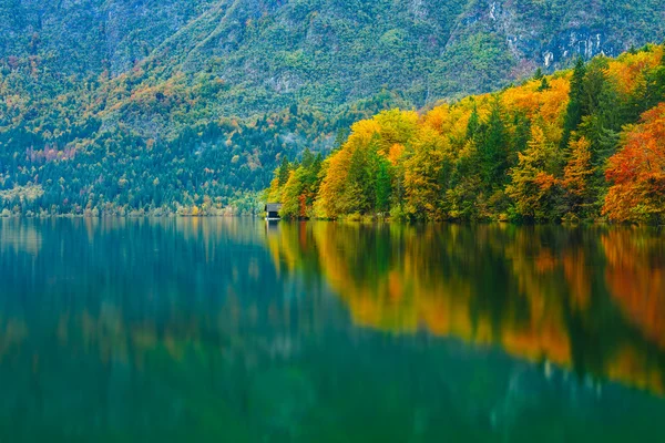 Dağlar, ormanlar ve göl renkli yansımaları ile nefes kesen sahne. Bohinj Gölü, Slovenya, Avrupa. Triglav Ulusal Parkı. — Stok fotoğraf