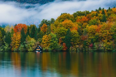 Dağlar, ormanlar ve göl renkli yansımaları ile nefes kesen sahne. Bohinj Gölü, Slovenya, Avrupa. Triglav Ulusal Parkı.