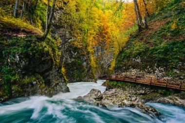 Ahşap pats, Bled, Triglav, Slovenya, Avrupa ile ünlü Vintgar gorge Kanyon