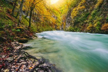 Ünlü Vintgar geçit Kanyon, Bled, Triglav, Slovenya, Avrupa