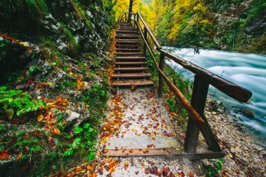 Ahşap pats, Bled, Triglav, Slovenya, Avrupa ile ünlü Vintgar gorge Kanyon