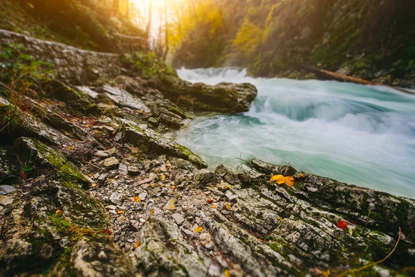 Slavný Vintgar soutěska Canyon, Bled, Triglav, Slovinsko, Evropa — Stock fotografie