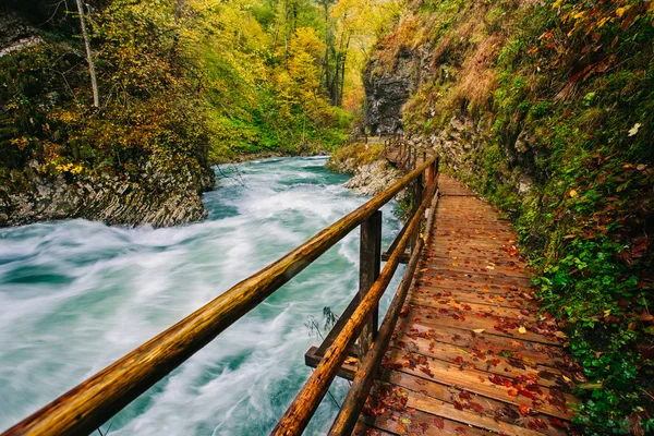 A híres Vintgar gorge kanyonban fa pats, Bled, Triglav, Szlovénia, Európa — Stock Fotó