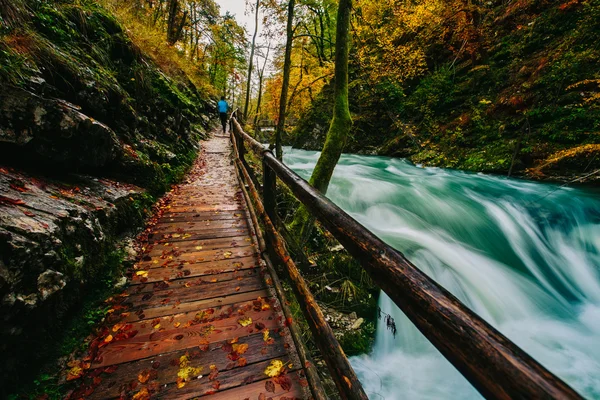 El famoso cañón del cañón de Vintgar con palmaditas de madera, Bled, Triglav, Eslovenia, Europa — Foto de Stock