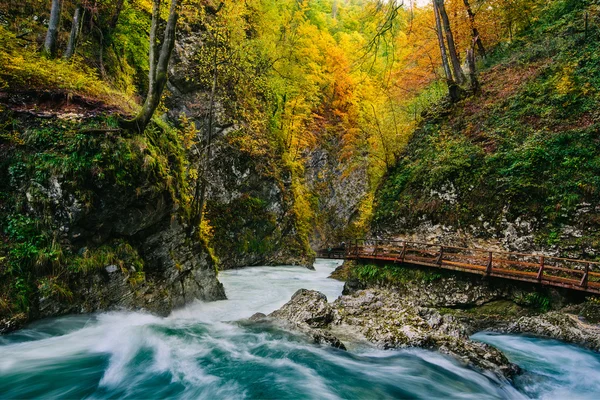 The famous Vintgar gorge Canyon with wooden pats,Bled,Triglav,Slovenia,Europe — Stock Photo, Image