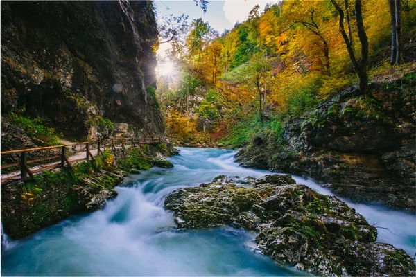 O famoso desfiladeiro do desfiladeiro de Vintgar com pats de madeira, Bled, Triglav, Eslovênia, Europa — Fotografia de Stock