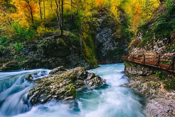 Знаменитий Vintgar ущелині Каньйон з дерев'яних поплескує Блед, Triglav, Словенія, Європа — стокове фото