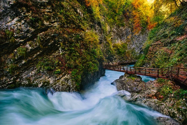 A híres Vintgar gorge kanyonban fa pats, Bled, Triglav, Szlovénia, Európa — Stock Fotó