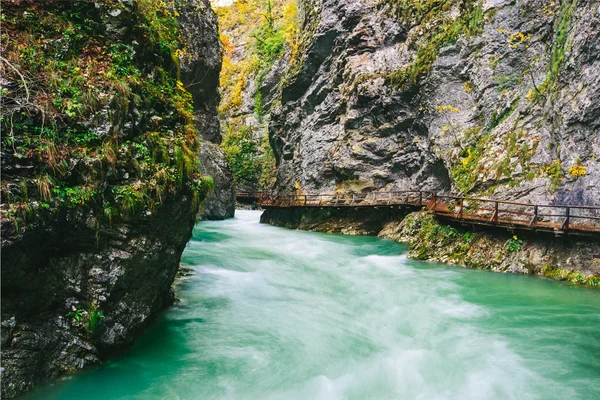 著名的 Vintgar 峡谷峡谷与木拍的布莱德、 Triglav，斯洛文尼亚、 欧洲 — 图库照片