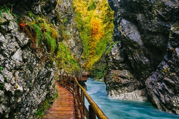 The famous Vintgar gorge Canyon with wooden pats,Bled,Triglav,Slovenia,Europe — Stock Photo, Image