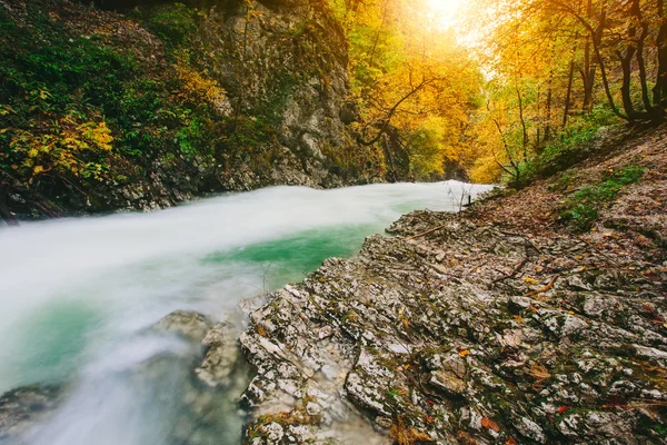 The famous Vintgar gorge Canyon, Bled, Triglav, Slovenia, Europe — стоковое фото