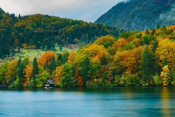 Dech beroucí scenérie hor, lesů a jezero s barevnými odlesky. Bohinjské jezero, Slovinsko, Evropa. Triglavský národní park. — Stock fotografie