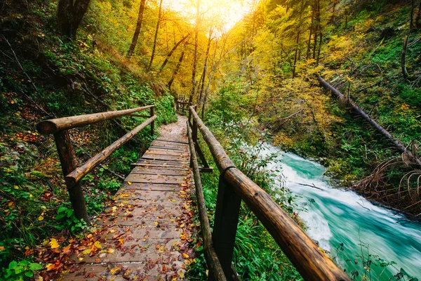 El famoso cañón del cañón de Vintgar con palmaditas de madera, Bled, Triglav, Eslovenia, Europa — Foto de Stock