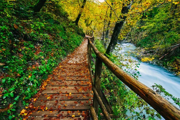 Lembah Vintgar yang terkenal dengan tempurung kayu, Bled, Triglav, Slovenia, Eropa — Stok Foto