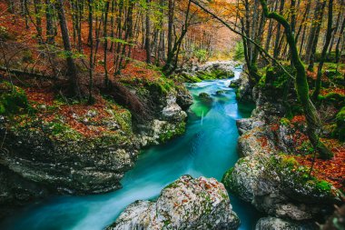 Kanyon Mostnica Fantastik görünümü