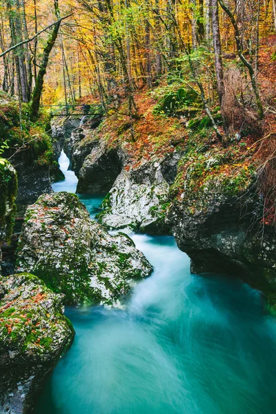 Fantastic view of the canyon Mostnica — Stock Photo, Image