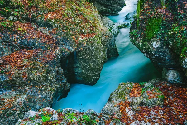 Fantastic view of the canyon Mostnica — Stock Photo, Image