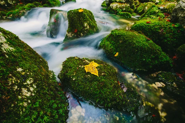 Горный ручей с мшистыми скалами и кристально чистой водой — стоковое фото